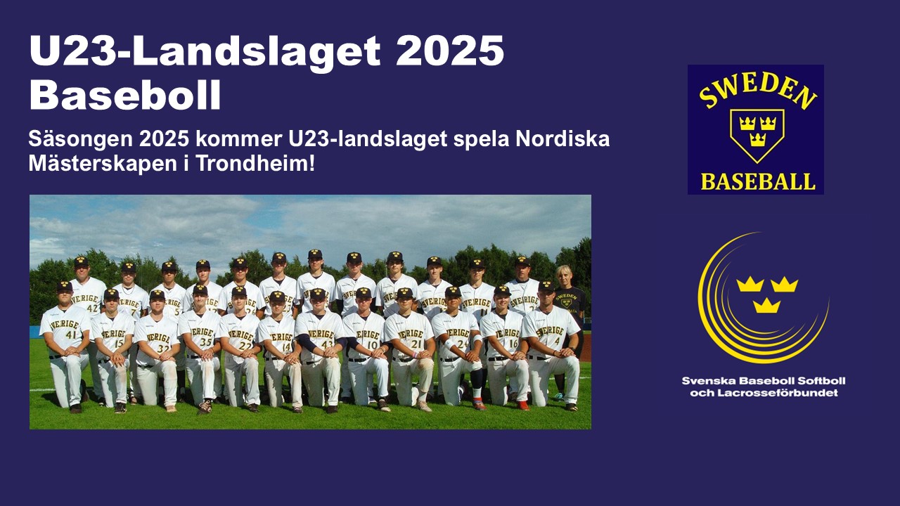 En bild